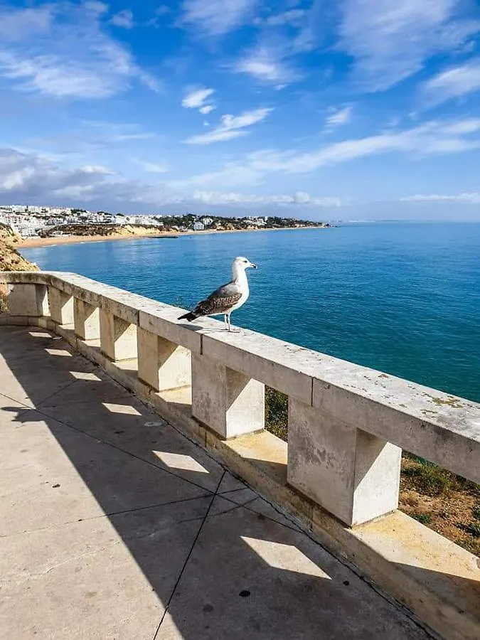 Casa Albufeira Villa